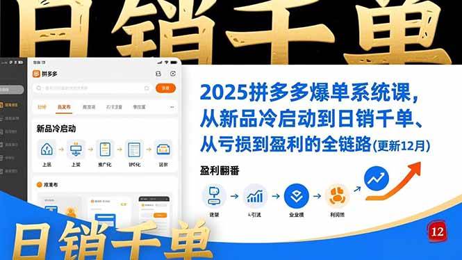 （16894期）2025拼多多爆单系统课，从新品冷启动到日销千单、从亏损到盈利的全链路（更新12月）-创业资源网