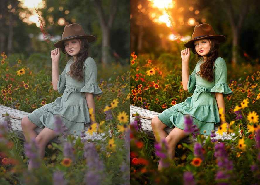 (17403期)大师级GTG出品-老友记系列AI自适应预设The Friends Preset Collection-创业资源网