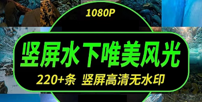 竖屏水面冰面水下风景风光高清自媒体唯美国外大自然风景视频素材-创业资源网