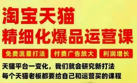 淘宝天猫精细化爆品运营课，免费流量打法-付费广告放大-利润增长-三大核心痛点，一次全部解决-创业资源网