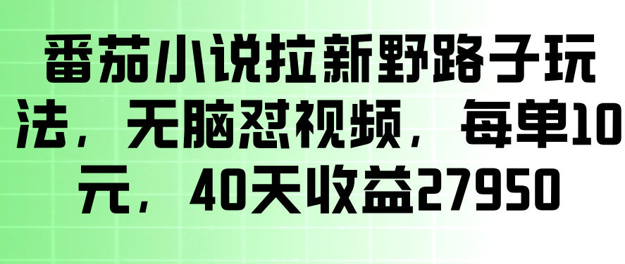 番茄小说拉新野路子玩法，无脑怼视频，玩法简单、见效快，每单10米，40天收益27950-创业资源网