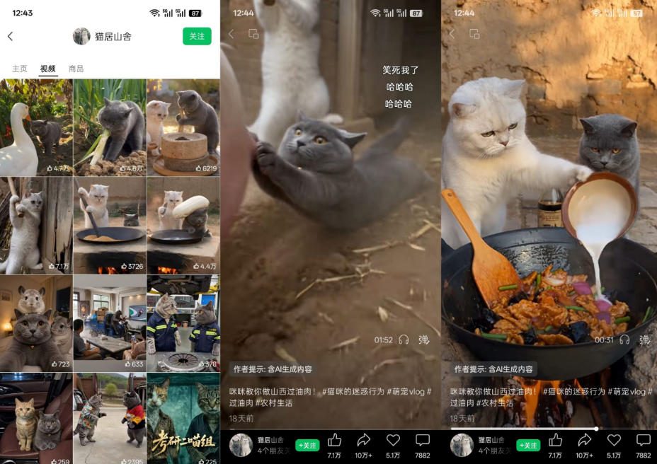 猫咪慢生活短视频教学,AI搞笑萌宠赛道,视频号分成+精选独家+伙伴计划+商单收徒等多种变现方式-创业资源网