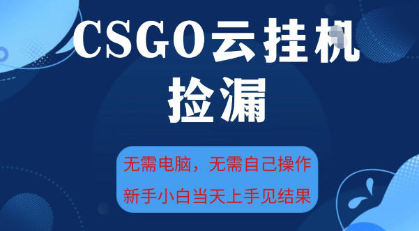 CSGO云挂G全自动捡漏，最新独家玩法，无需电脑操作，新手小白日入5张+【揭秘】-创业资源网