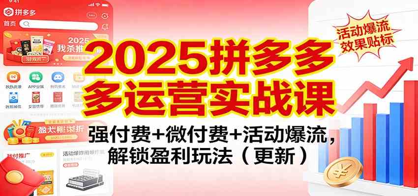 2025拼多多运营实战课：强付费+微付费+活动爆流，解锁盈利玩法（更新）-创业资源网