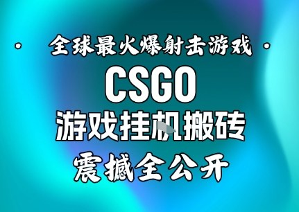 【年底大揭秘】基于全球最火爆的射击CSGO游戏挂G搬砖，日入5张+，震撼公开-创业资源网