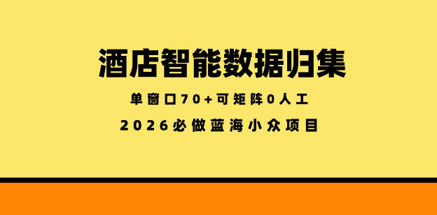 酒店智能数据归集，小众蓝海已经稳定半年之久，单窗口70+零成本矩阵开干【揭秘】-创业资源网