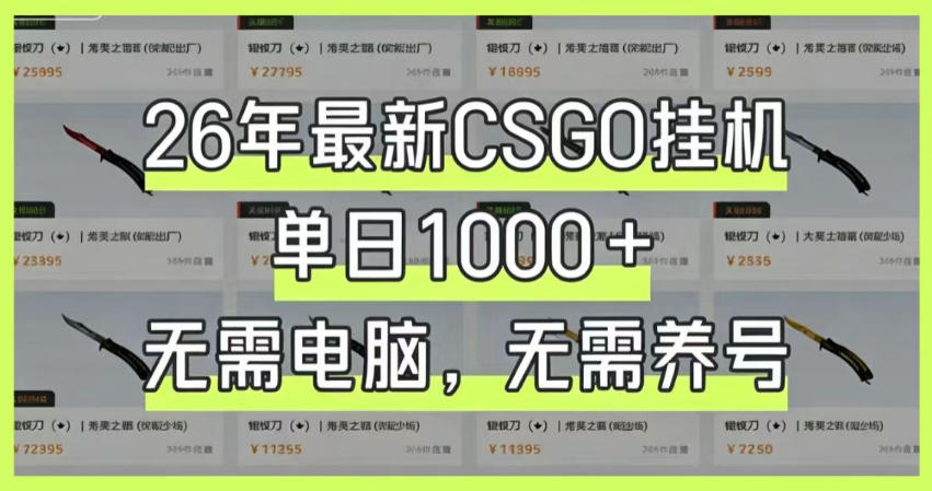 26年最新CSGO挂G系统,单日1000+,无需电脑,无需养号,0基础可上手【揭秘】-创业资源网