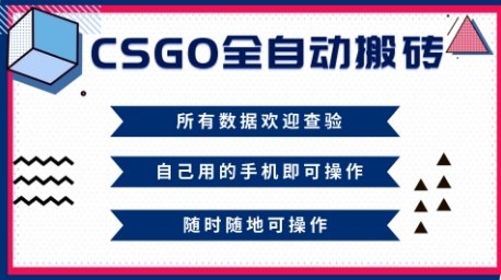 CSGO全自动搬砖，年底钱回家好项目，当天可拿到结果，新手小白轻松月入1W+【揭秘】-创业资源网