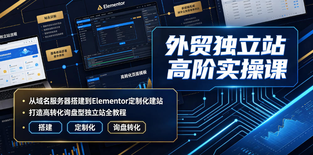 外贸独立站高阶实操课|从域名服务器搭建到Elementor定制化建站,打造高转化询盘型独立站全教程-创业资源网