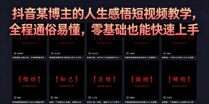 抖音某博主的灰太狼人生感悟短视频教学，全程通俗易懂，零基础也能快速上手-创业资源网