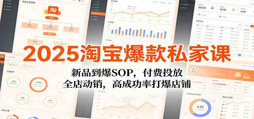 2025淘宝爆款私家课：新品到爆SOP，付费投放，全店动销，高成功率打爆店铺-创业资源网