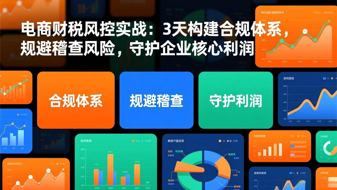 (17197期)电商财税风控实战:3天构建合规体系,规避稽查风险,守护企业核心利润-创业资源网