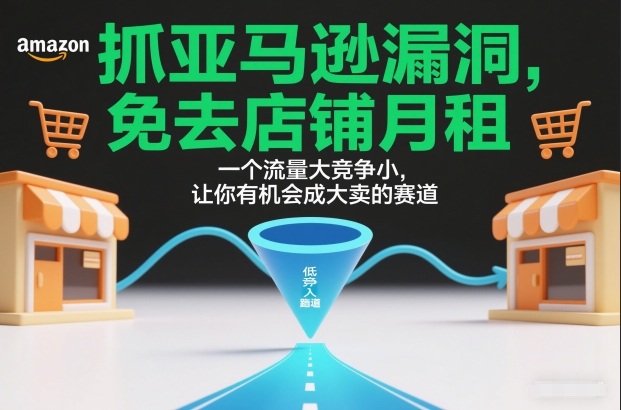 抓亚马逊漏洞，免去店铺月租，一个流量大竞争小，让你有机会成大卖的赛道-创业资源网
