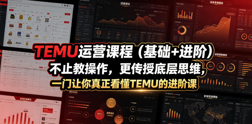 TEMU运营课程（基础+进阶），不止教操作，更传授底层思维，一门让你真正看懂TEMU的进阶课-创业资源网