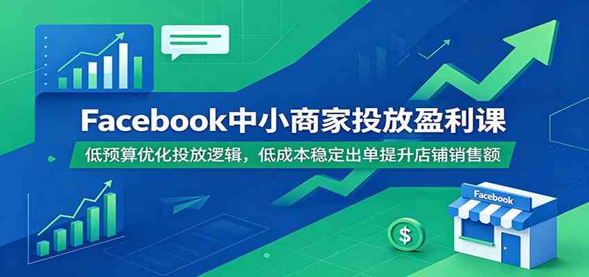 Facebook中小商家投放盈利课:低预算优化投放逻辑,低成本稳定出单提升店铺销售额-创业资源网