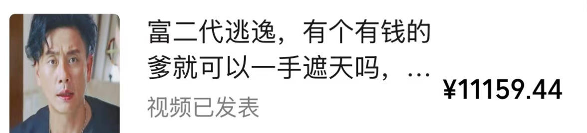 视频号某大佬的影视搬运教学，纯手法操作，可以多个平台可以发布，撸分成计划+伙伴计划+光合计划收益等-创业资源网