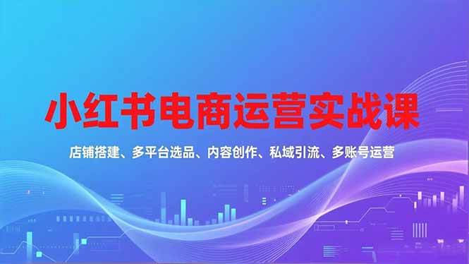 （16695期）小红书电商运营实战课，店铺搭建、多平台选品、内容创作、私域引流、多账号运营等玩法-创业资源网
